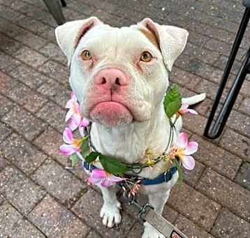Photo of Brinley