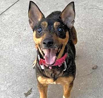 Photo of Dutchess Lina
