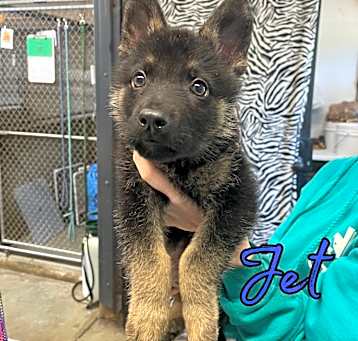 Photo of Jet