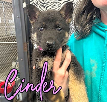 Photo of Cinder