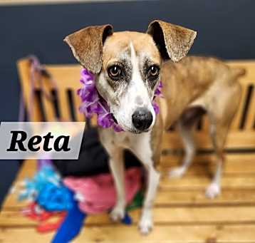 Photo of Reta
