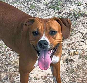 Photo of Lady