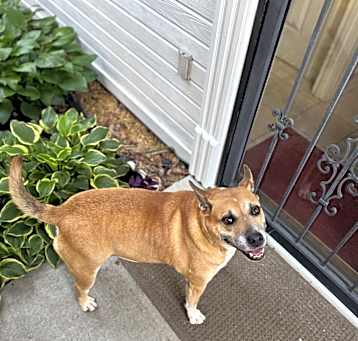 Photo of Buddy