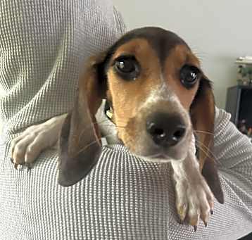 Photo of Titan