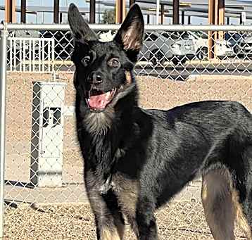 Photo of Ares