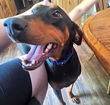Photo of Molly