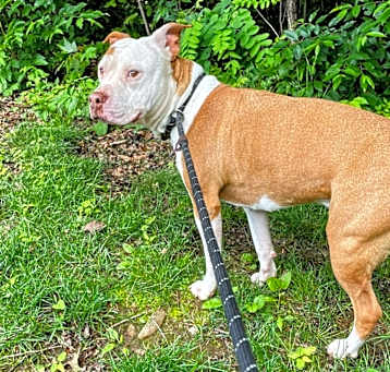 Photo of Reggie
