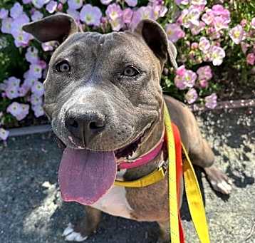 Photo of ELLIE MAE