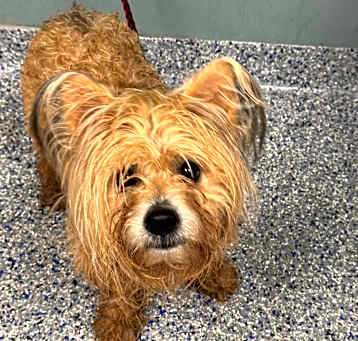 Photo of Teddy