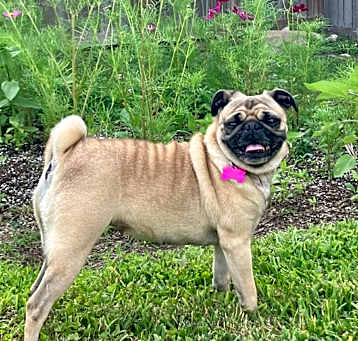 Photo of Ruthie