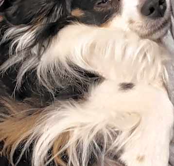 Photo of Moxie