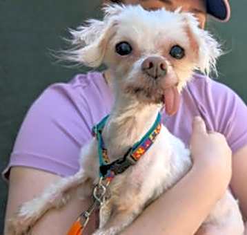 Photo of Chloe
