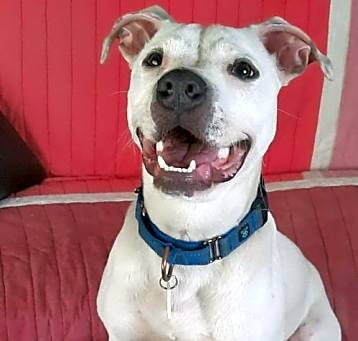 Photo of Timber