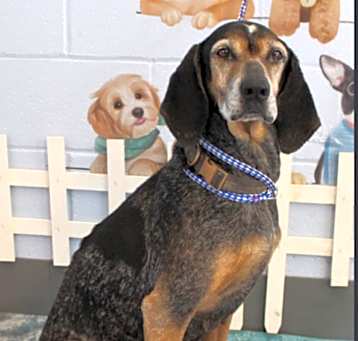 Photo of Karen PLEASE HELP URGENT!