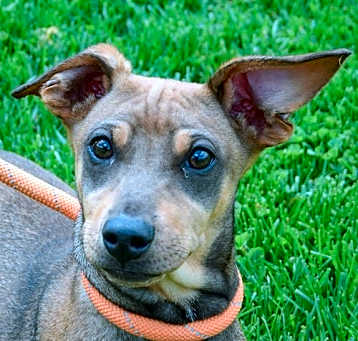 Photo of Ferrero