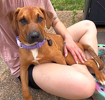 Photo of Shelby