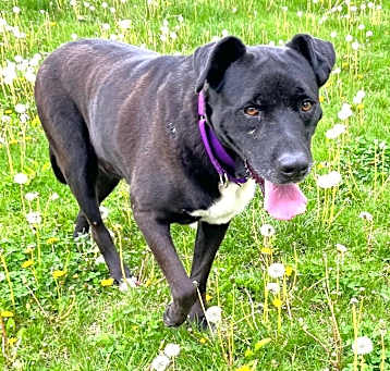 Photo of Jethro 