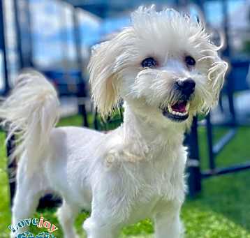 Photo of Benji Ben COH