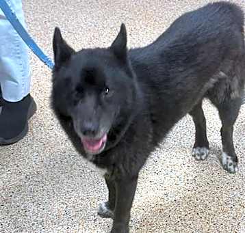 Photo of SCOOBY