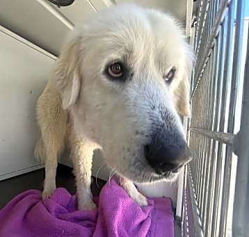 Photo of CASPER