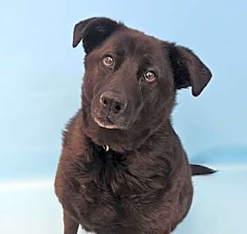 Photo of Mabel