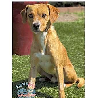 Photo of Cheddar