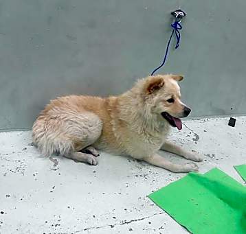 Photo of NUBE