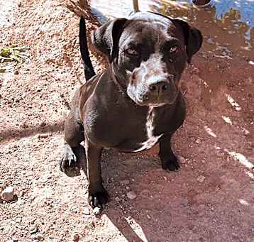 Photo of ONYX APPLEBY