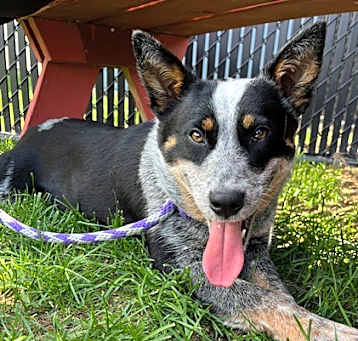 Photo of Penelope