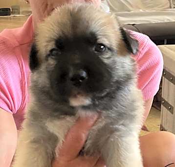 Photo of Frisco
