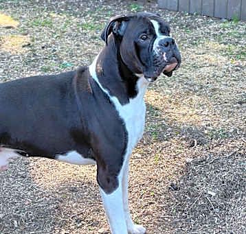 Photo of Kiefer