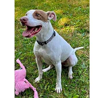Photo of Louie