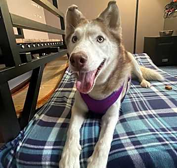 Photo of Marlee