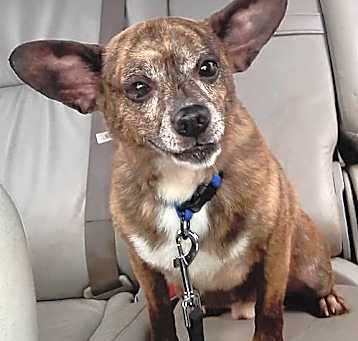 Photo of Pablo-senior boy