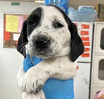 Photo of Ellie Mae