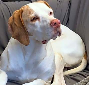 Photo of Grace