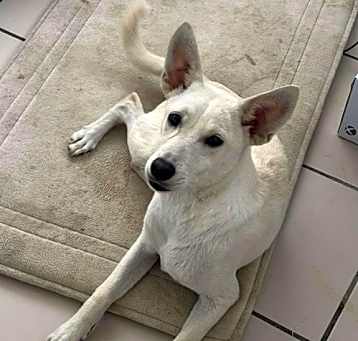 Photo of Kaya