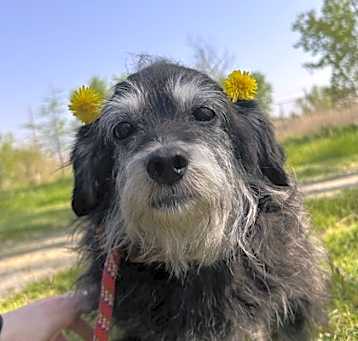 Photo of Mirabel