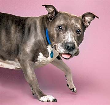 Photo of ZENA
