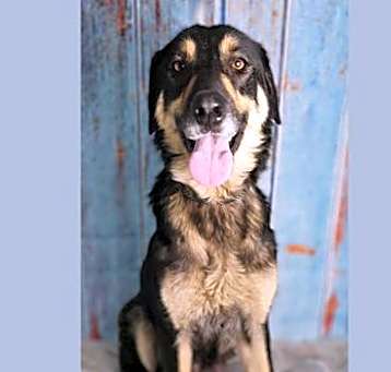 Photo of Kali