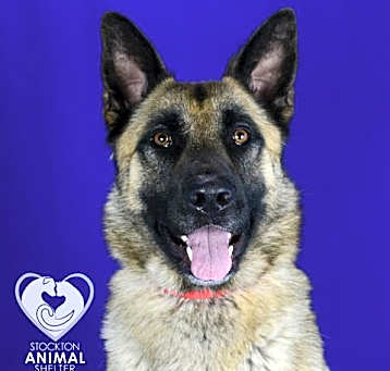 Photo of DUKE