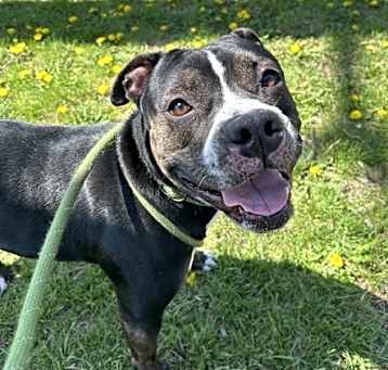 Photo of Juliet- Call 402-441-4490 To Meet Me!
