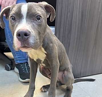 Photo of Oakley