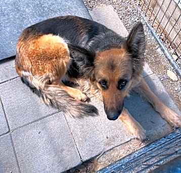 Photo of Sofie