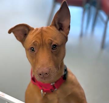 Photo of Baby Girl