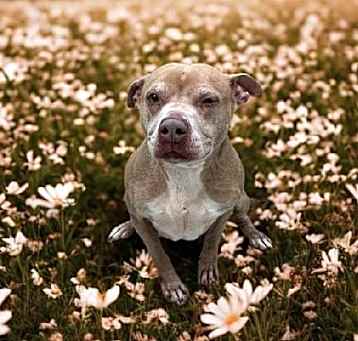 Photo of Karma