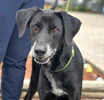 Photo of Remington