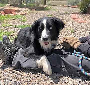 Photo of Fergus
