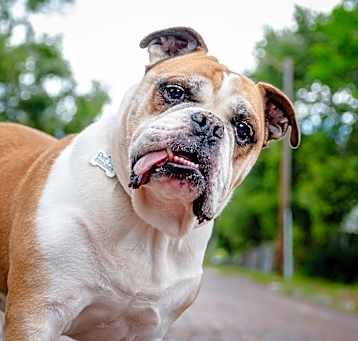 Photo of Willie