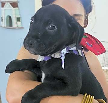 Photo of Mateo
